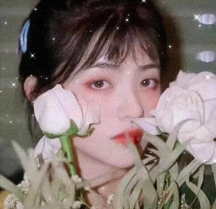 屋顶上的轻骑兵